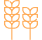 Top Kindergarten School in Dharmapuri